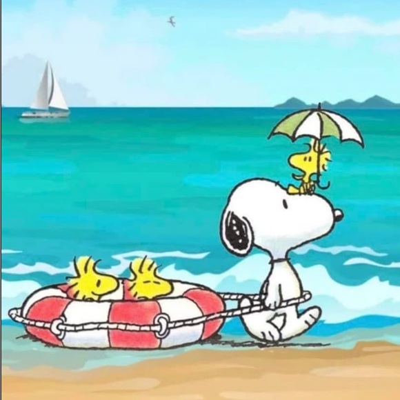 β¨LIKE THIS LISTING TO BE NOTIFIED OF MEGA SALES & LIVE SHOWSβ¨! πππ - Picture 4 of 8